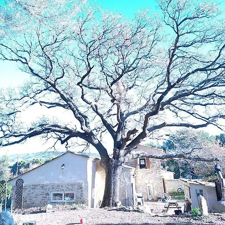 Country house Sous Un Chene Bicentenaire Lambesc