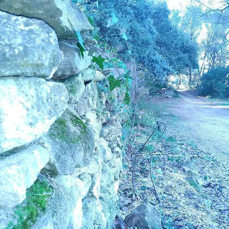 Sous Un Chêne Bicentenaire Avec Jardin Et Espace De W Séjour à la campagne *